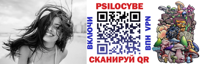 Галлюциногенные грибы Psilocybine cubensis  МЕГА ссылка  Заинск  что такое  